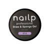 NAILP PAINTING GEL DRAW AND SPONGE #014 8gr