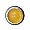 NAILP PAINTING GEL DRAW AND SPONGE #039 8gr