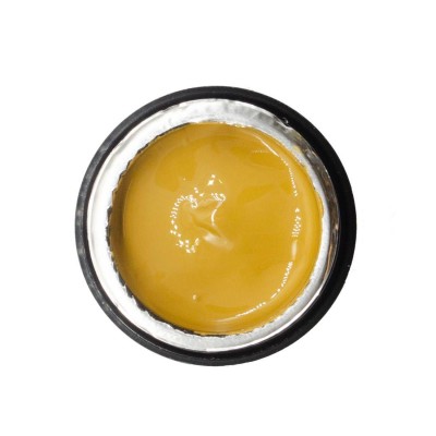 NAILP PAINTING GEL DRAW AND SPONGE #039 8gr
