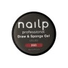 NAILP PAINTING GEL DRAW AND SPONGE #060 8gr