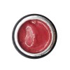 NAILP PAINTING GEL DRAW AND SPONGE #060 8gr