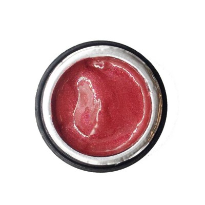 NAILP PAINTING GEL DRAW AND SPONGE #060 8gr