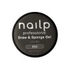 NAILP PAINTING GEL DRAW AND SPONGE #062 8gr