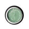 NAILP PAINTING GEL DRAW AND SPONGE #051 8gr