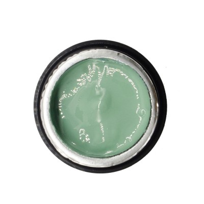 NAILP PAINTING GEL DRAW AND SPONGE #051 8gr
