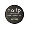 NAILP PAINTING GEL DRAW AND SPONGE #051 8gr