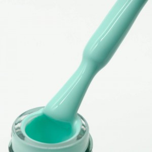 NAILP GEL POLISH SOAK OFF UV/LED #300 12ml