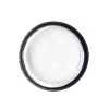 NAILP PAINTING GEL DRAW AND SPONGE #061 8gr