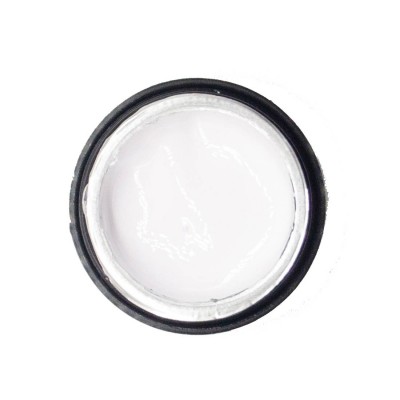 NAILP PAINTING GEL DRAW AND SPONGE #061 8gr