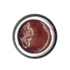 NAILP PAINTING GEL DRAW AND SPONGE #033 8gr