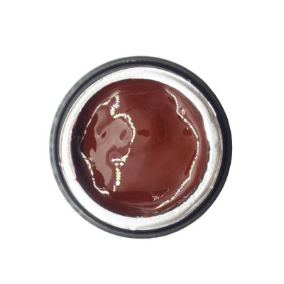 NAILP PAINTING GEL DRAW AND SPONGE #033 8gr
