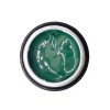 NAILP PAINTING GEL DRAW AND SPONGE #055 8gr
