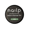 NAILP PAINTING GEL DRAW AND SPONGE #055 8gr